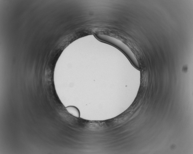 X0000116650571201001111231