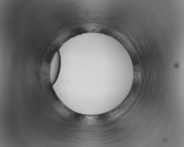 X0000116650573201001111231