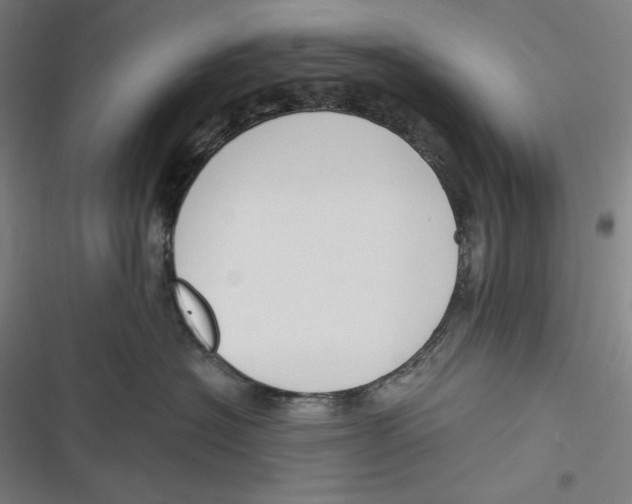 X0000116650574201001111231