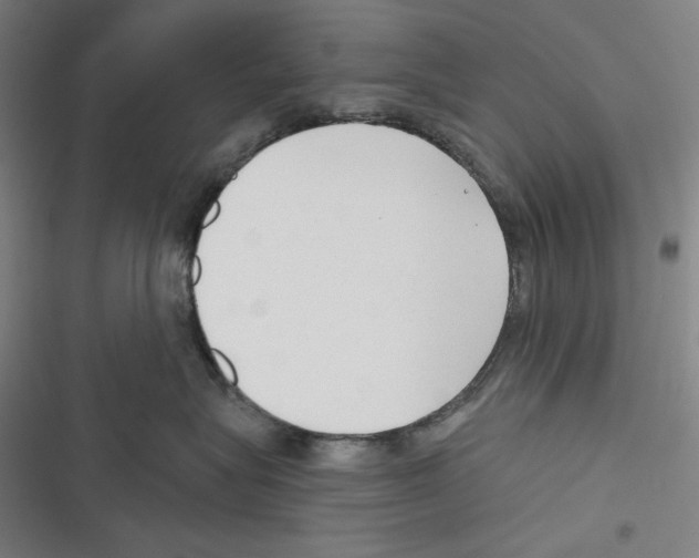 X0000116650575201001111231