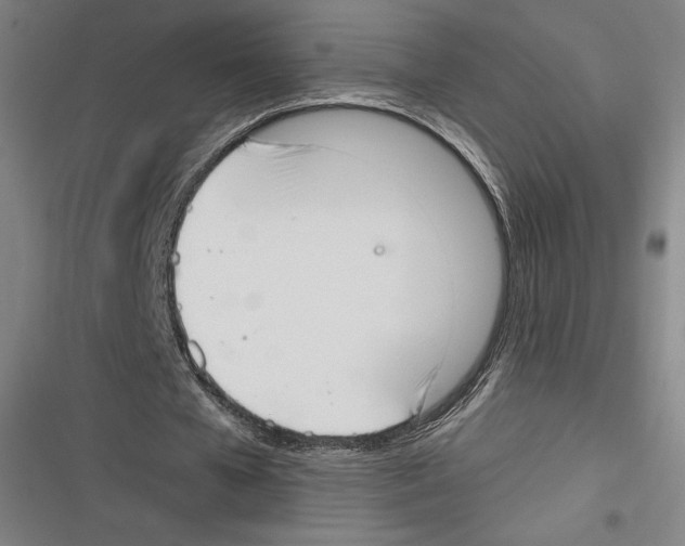 X0000116650577201001111231