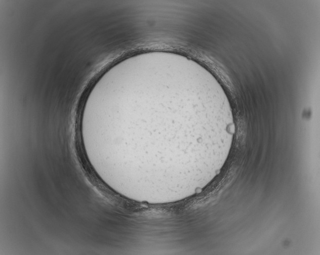 X0000116650578201001111231