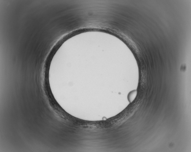 X0000116650580201001111231