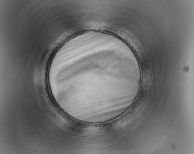 X0000116650581201001111231