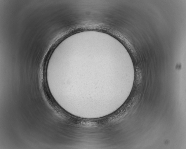 X0000116650582201001111231