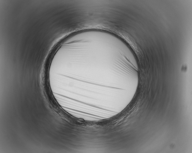 X0000116650583201001111231
