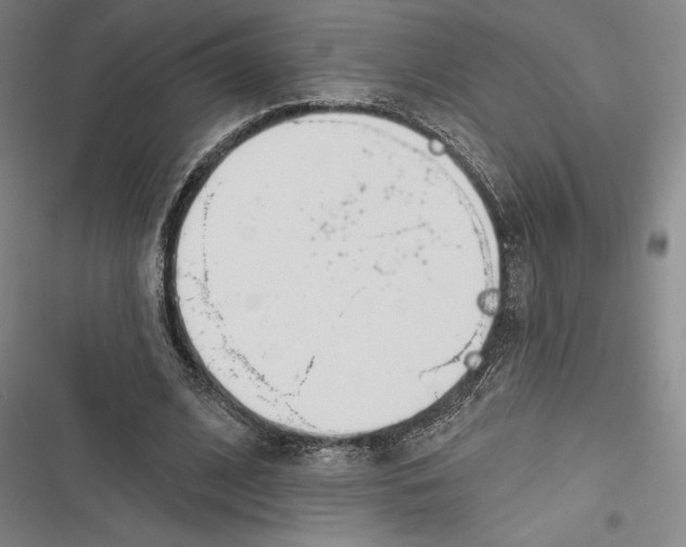 X0000116650584201001111231