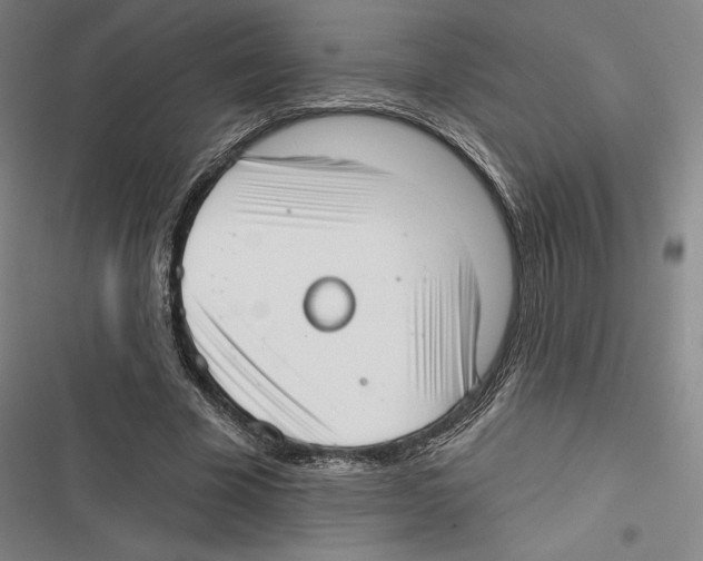 X0000116650585201001111231