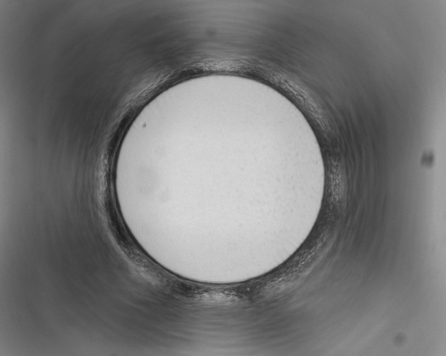 X0000116650586201001111231