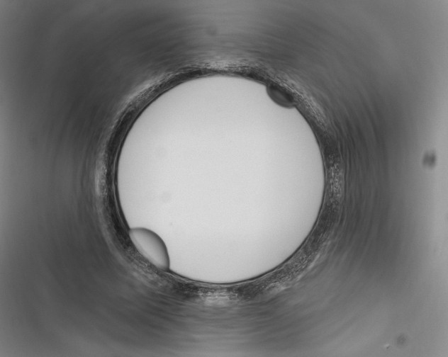 X0000116650587201001111231