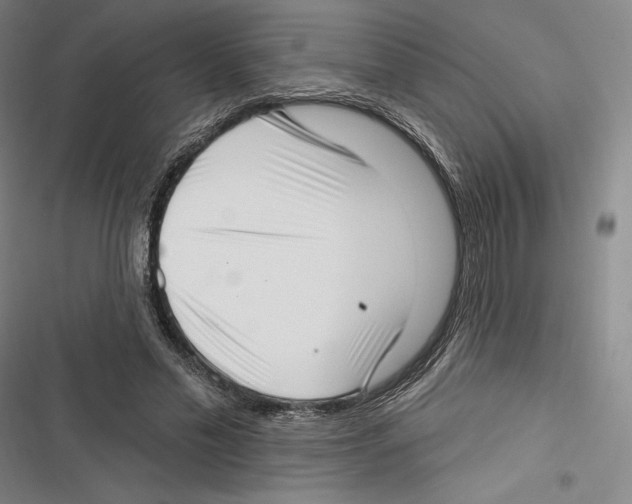 X0000116650589201001111231