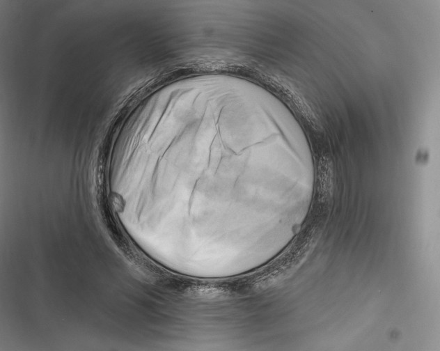 X0000116650590201001111231