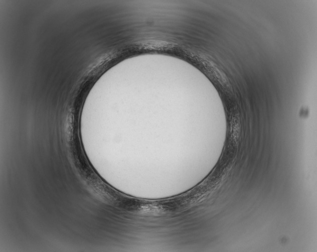 X0000116650591201001111231