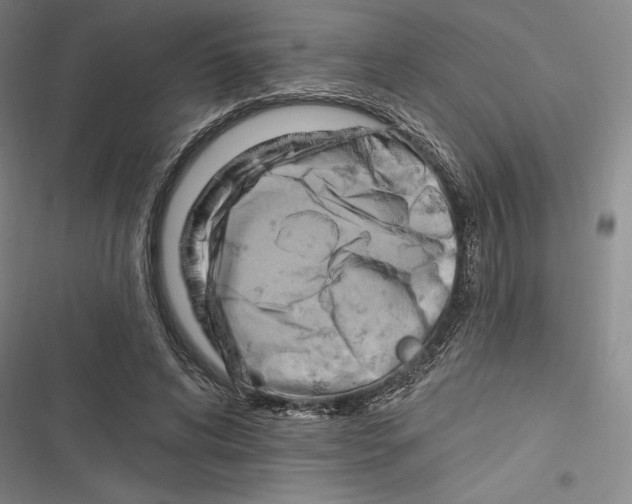 X0000116650592201001111231