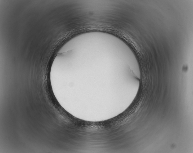 X0000116650593201001111231