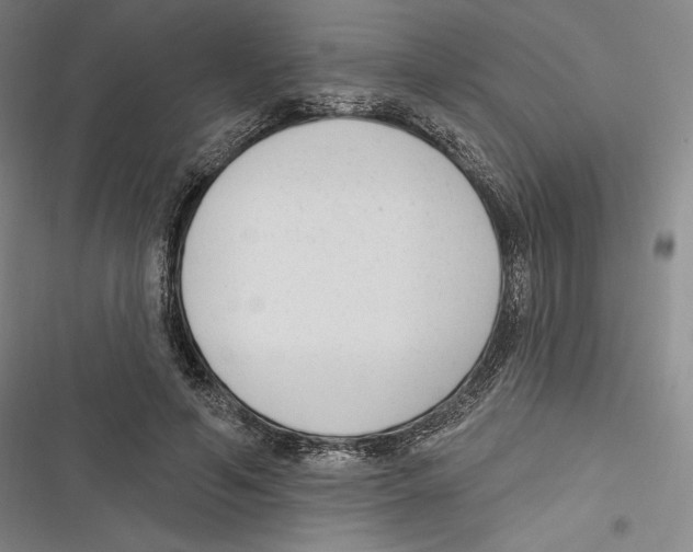 X0000116650594201001111231