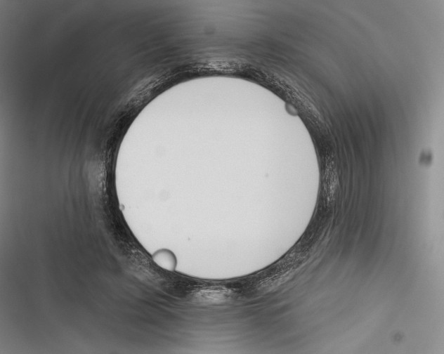 X0000116650595201001111231