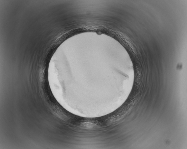 X0000116650596201001111231