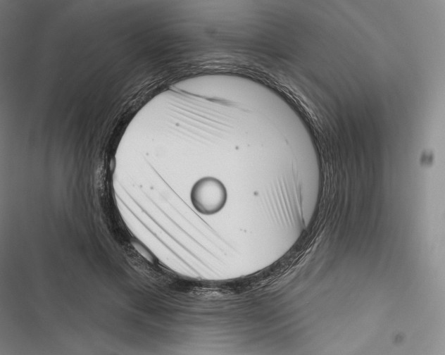 X0000116650597201001111231