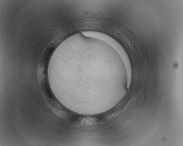 X0000116650599201001111230