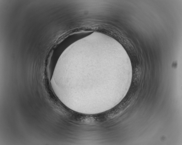 X0000116650600201001111230