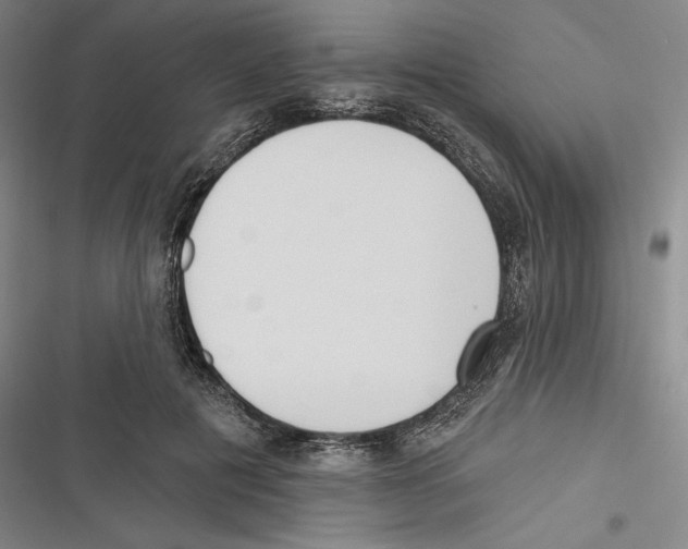 X0000116650601201001111230