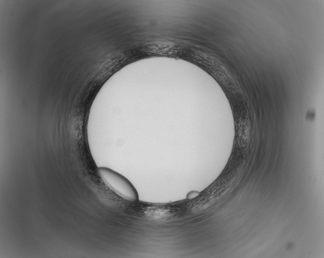 X0000116650602201001111230