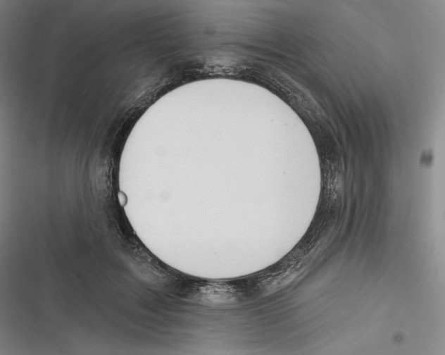 X0000116650603201001111230