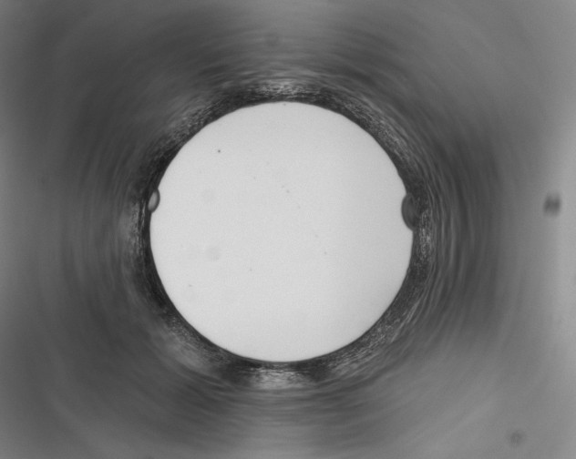 X0000116650605201001111230