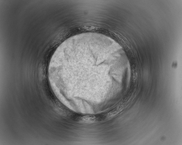 X0000116650606201001111230