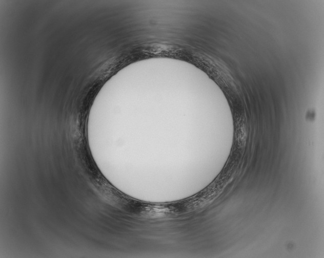 X0000116650607201001111230