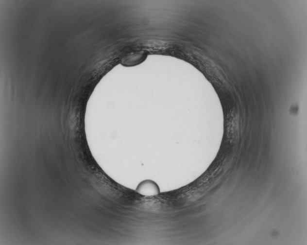 X0000116650608201001111230