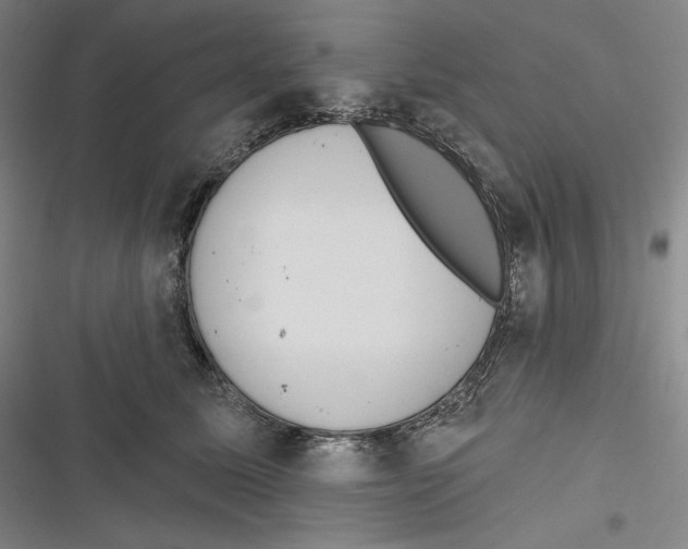 X0000116650611201001111230