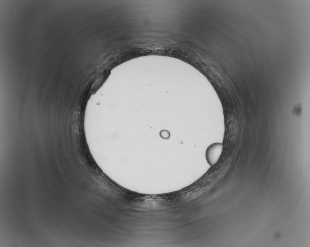 X0000116650612201001111230