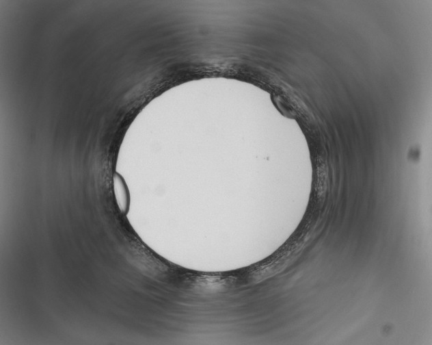 X0000116650613201001111230