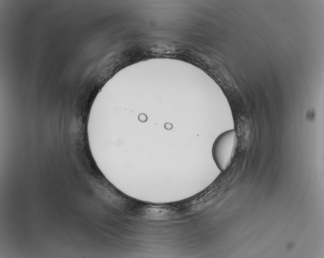 X0000116650614201001111230