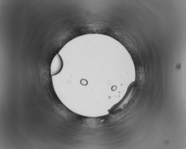 X0000116650615201001111230