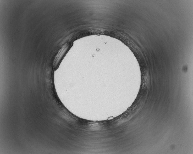 X0000116650616201001111230