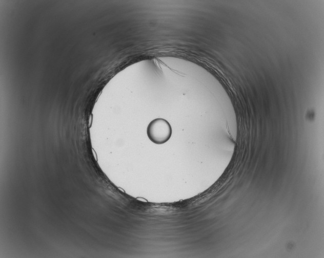 X0000116650617201001111230