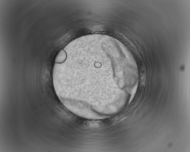X0000116650618201001111230