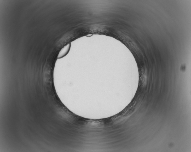 X0000116650619201001111230