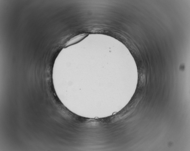 X0000116650620201001111230