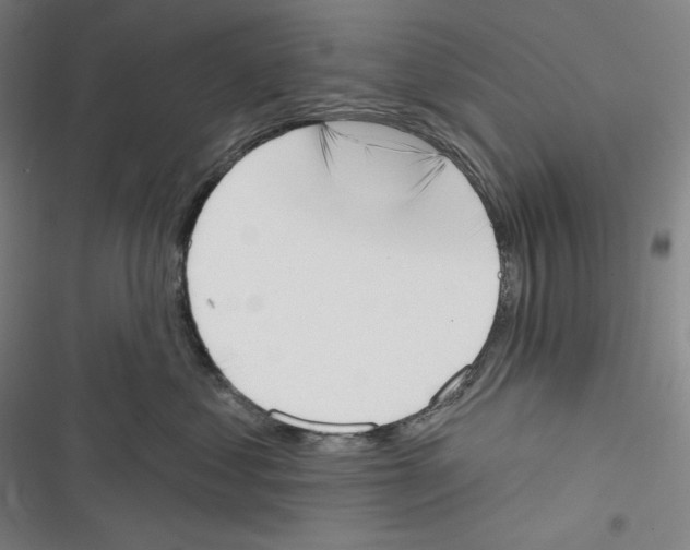 X0000116650621201001111230