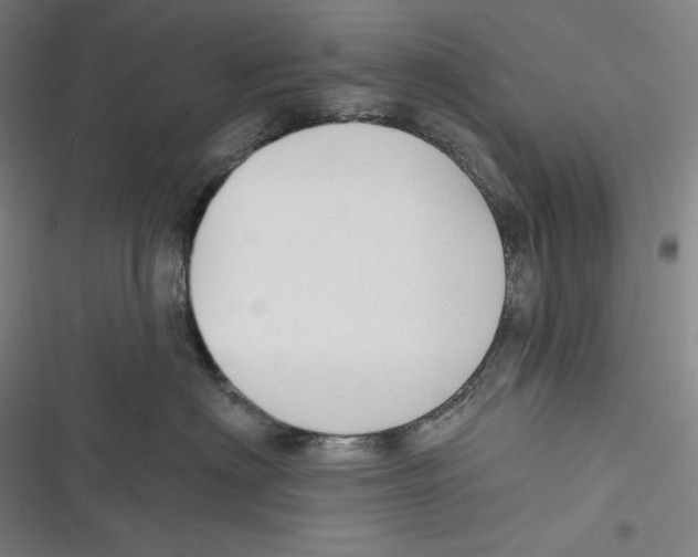 X0000116650622201001111230