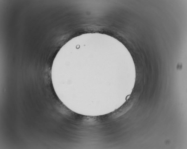 X0000116650624201001111230