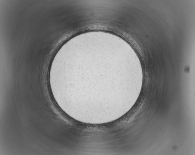 X0000116650625201001111229