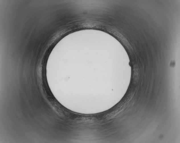 X0000116650626201001111229