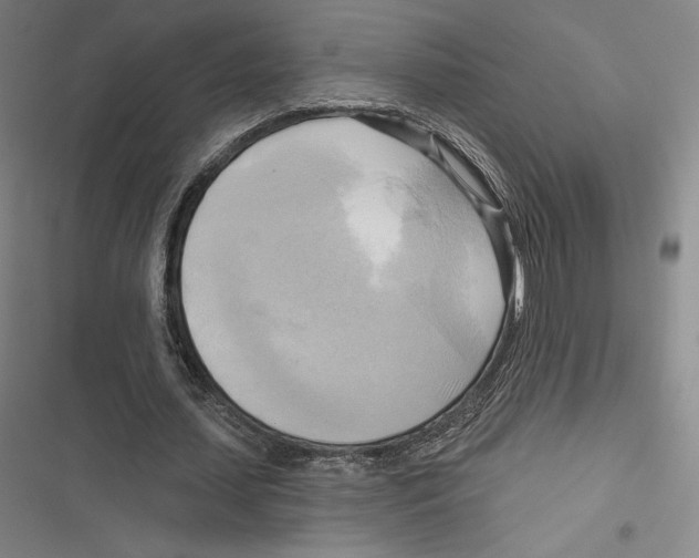 X0000116650627201001111230