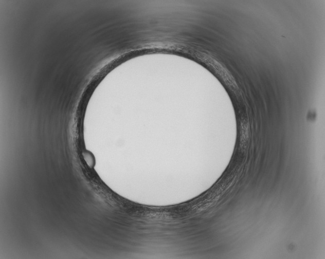 X0000116650628201001111230