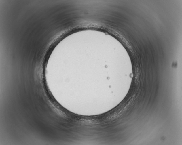 X0000116650629201001111230